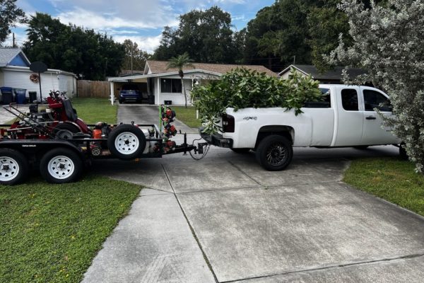 St-Petersburg-Lawn-Service-Yard-Cleanup-Junk-Removal-727-2