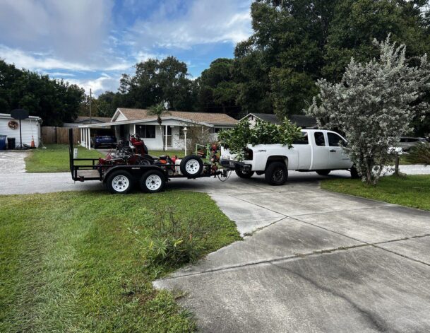 St-Petersburg-Lawn-Service-Yard-Cleanup-Junk-Removal-727-3