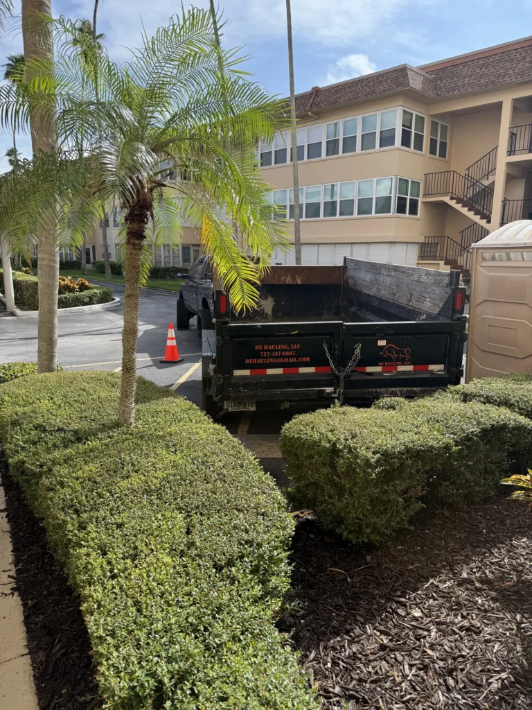 dump-trailer-dumpster-rental-st-petersburg-fl-70